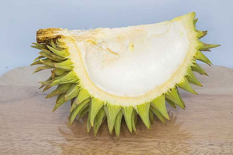 vỏ sầu riêng được tái chế vừa giảm thiểu rác thải ra môi trường vừa tạo ra sản phẩm mới vỏ sầu riêng được tái chế vừa giảm thiểu rác thải ra môi trường vừa tạo ra sản phẩm mới