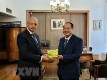 Ai Cập đề nghị thúc đẩy hợp tác hơn nữa trên các lĩnh vực với Việt Nam