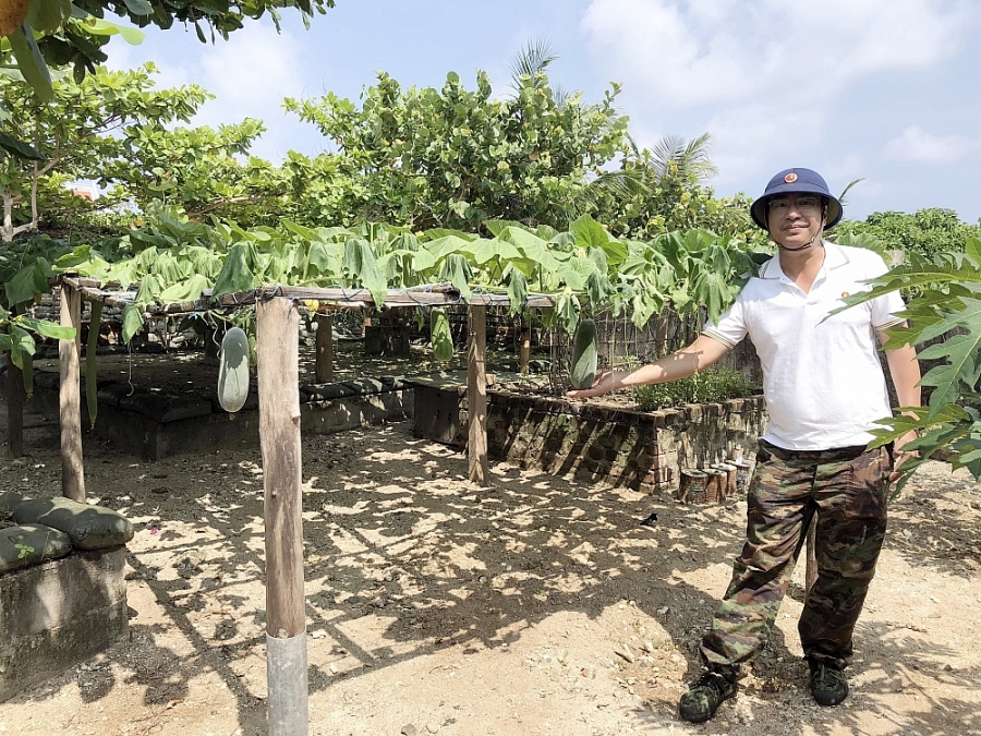 Thăm một vườn rau quý giá giữa sóng gió Trường Sa Thăm một vườn rau quý giá giữa sóng gió Trường Sa