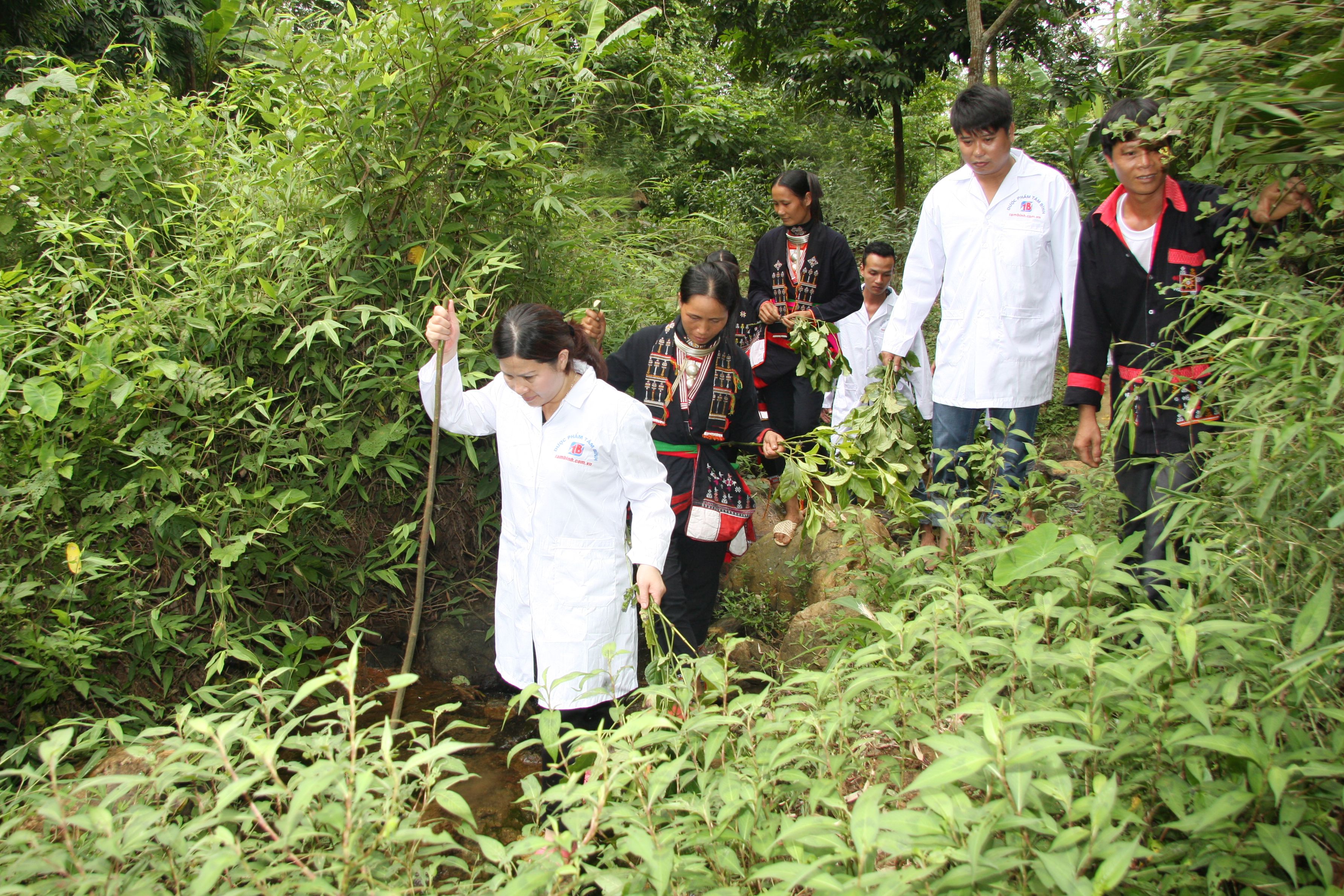 Dược sĩ Lê Thị Bình đi tìm dược liệu quý ở những vùng núi cao