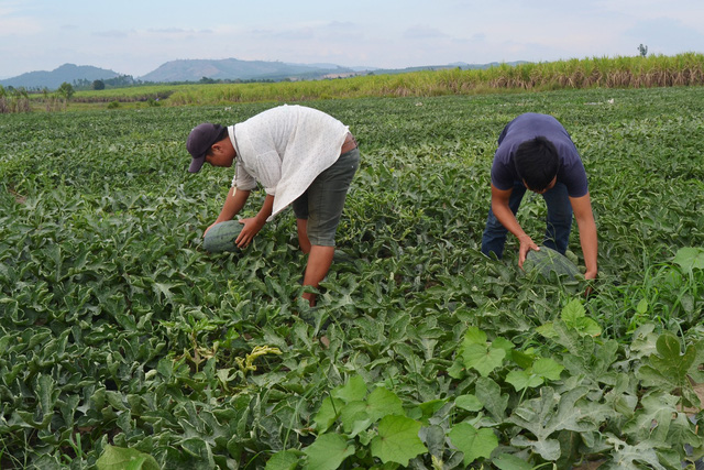 Người dân mong muốn chính quyền sớm vào cuộc chấn chỉnh tình trạng trên