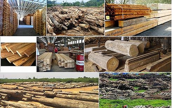 Đề xuất quy định Hệ thống bảo đảm gỗ hợp pháp Việt Nam de xuat quy dinh he thong bao dam go hop phap viet nam