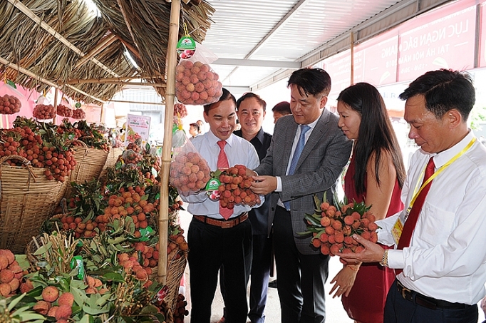 Xuất khẩu nông sản: Thích ứng bối cảnh mới xuat khau nong san thich ung boi canh moi