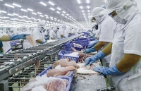 Xuất khẩu nông - thủy sản hậu Covid-19: Hy vọng và giải pháp