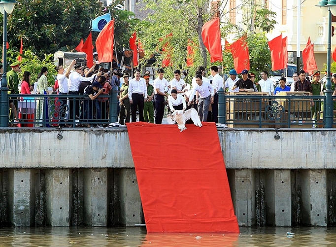 them 65 doi thien nga duoc tha xuong dong song tam bac