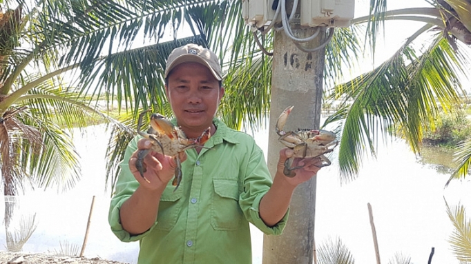 Nguồn cung khan hiếm, giá cua liên tục tăng nguon cung khan hiem gia cua lien tuc tang