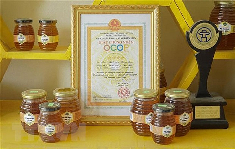 Mật ong Việt Nam có nguy cơ bị điều tra chống bán phá giá | Tài chính | Vietnam+ (VietnamPlus)