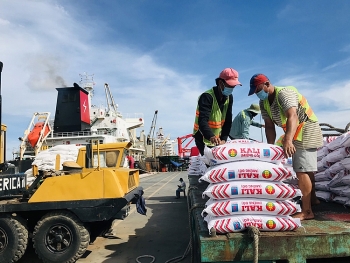 Kali Cà Mau – Nguồn cung chất lượng cho vụ hè thu 2021