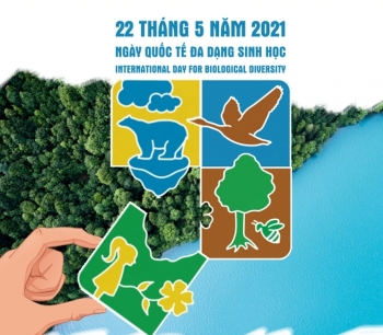 Bộ Công Thương hướng dẫn tổ chức các hoạt động vì môi trường và đa dạng sinh học năm 2021