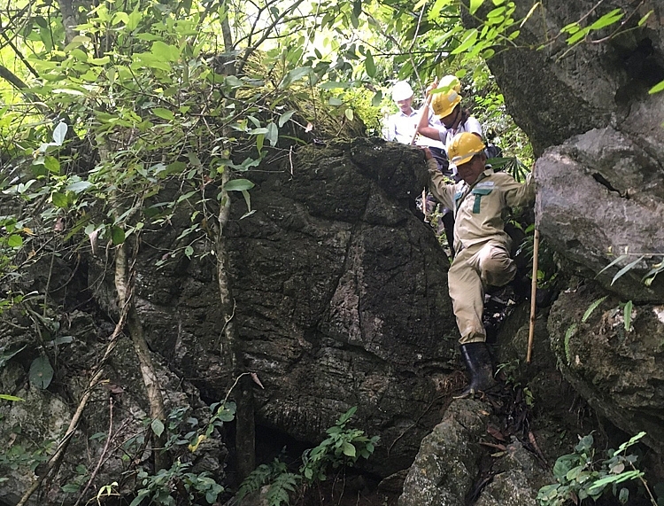 Lãnh đạo Truyền tải điện Hòa Bình cùng đội kiểm tra sạt lở do mưa bão đến vị trí 66 ĐZ 220kV Thành Sơn- Nho Quan năm 2020 Lãnh đạo Truyền tải điện Hòa Bình cùng đội kiểm tra sạt lở do mưa bão đến vị trí 66 ĐZ 220kV Thành Sơn- Nho Quan năm 2020