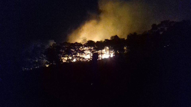 Rừng phòng hộ ở Sóc Sơn cháy dữ dội đêm qua. (Ảnh: Hoàng Việt)