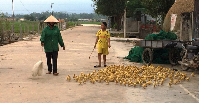 Việc tái đàn như thế này rất khó bởi người dân sợ thua lỗ nặng.