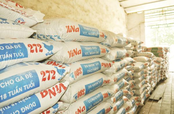Chăn nuôi gặp khó nhập khẩu thức ăn chăn nuôi vẫn tăng
