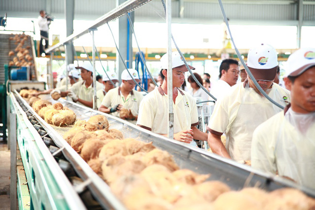 Nhà máy của Betrimex tại xã Phong Nẫm, huyện Giồng Trôm, Bến Tre