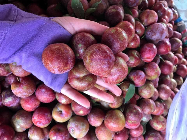 hoa qua tang gia dot bien ruou nep chay hang tu sang som trong ngay tet doan ngo