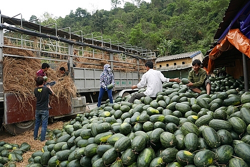 nhieu mat hang xuat khau sang trung quoc gap kho