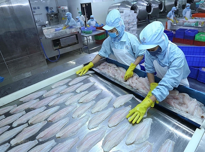 Xuất khẩu thủy sản sang thị trường CPTPP: Đáp ứng tiêu chuẩn khắt khe xuat khau thuy san sang thi truong cptpp dap ung tieu chuan khat khe