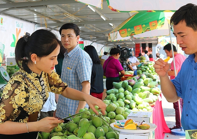 Kinh nghiệm tiêu thụ nông sản của Sơn La: Thành công nhờ khác biệt kinh nghiem tieu thu nong san cua son la thanh cong nho khac biet