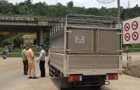 Quản lý thị trường Lào Cai: Dồn lực chống dịch tả lợn châu Phi