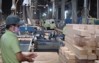 Ngành gỗ: Tự tin đáp ứng tiêu chuẩn EU