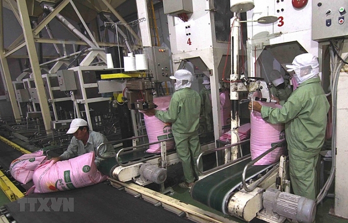 Giá gạo Việt Nam xuất khẩu lên mức cao nhất trong 8 năm gia gao viet nam xuat khau len muc cao nhat trong 8 nam