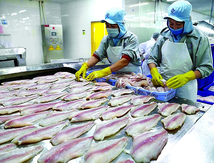 Ngành thủy sản cần chuẩn hóa quy trình để xuất khẩu thành công sang EU 1052 anh bai duoi