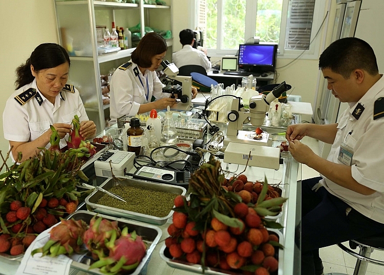 Miễn phí kiểm dịch thực vật xuất khẩu vào các thị trường mới mở Miễn phí kiểm dịch thực vật xuất khẩu vào các thị trường mới mở