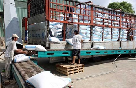 Xuất khẩu gạo sang Trung Quốc như đánh bạc