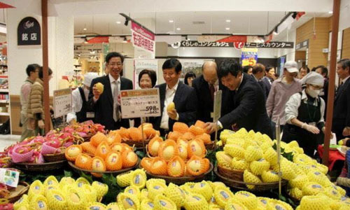 nhung-nong-san-dat-xat-ra-mieng-khi-xuat-sang-nhat