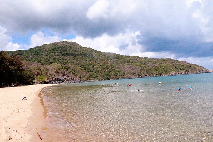 Các lĩnh vực đều khả quan cac linh vuc deu kha quan