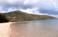 Các lĩnh vực đều khả quan