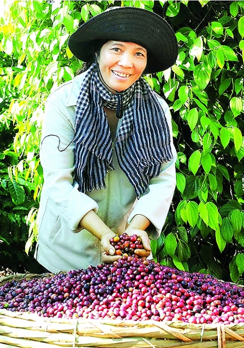 nang cao gia tri gia tang cua nganh ca phe