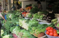 truoc mua bao gia rau xanh tang phi ma