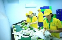 Xuất khẩu rau quả đã đạt một nửa mục tiêu