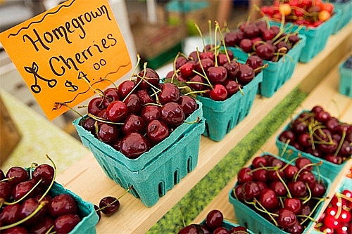 Cherry Mỹ ồ ạt về Việt Nam với giá rẻ cherry my o at ve viet nam voi gia re