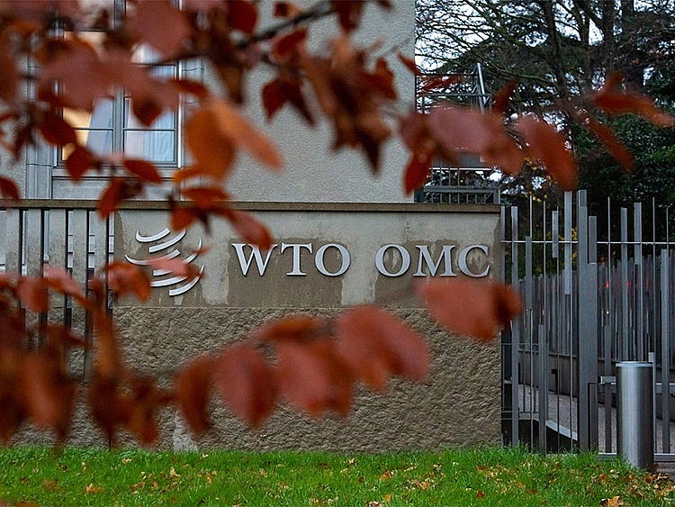 undefined 0656 wto