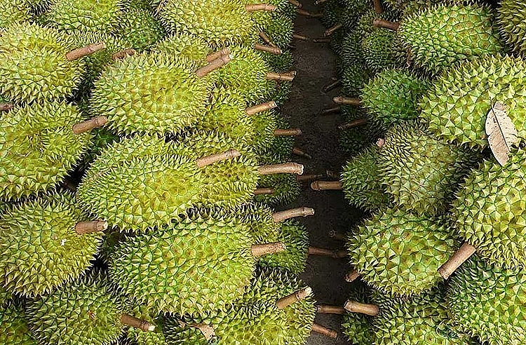 undefined 3529 sr1 1589956814 1589957004 1680 1589957328