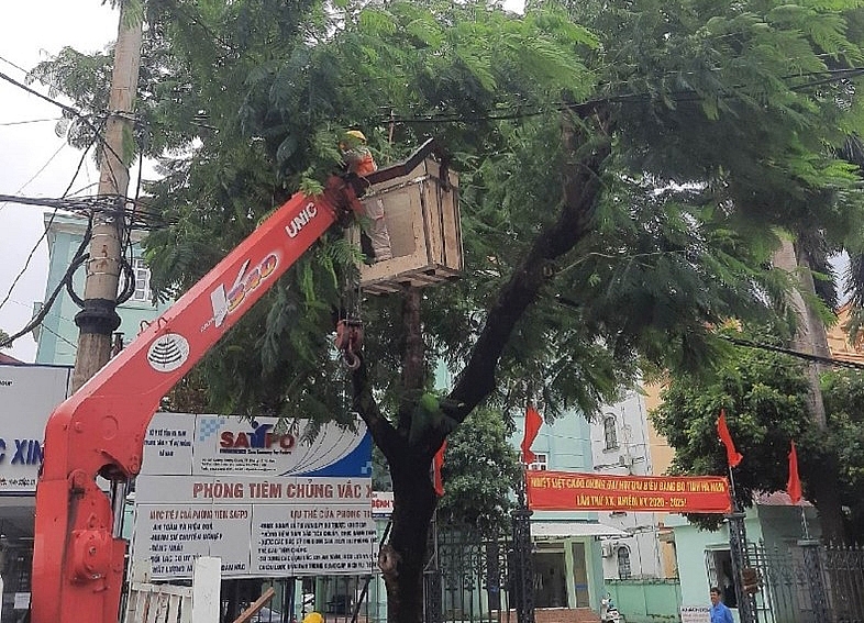 Kiểm tra kịp thời phát hiện những điểm có nguy cơ ảnh đến vận hành lưới điện Kiểm tra kịp thời phát hiện những điểm có nguy cơ ảnh đến vận hành lưới điện