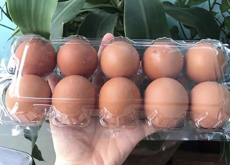 Một số siêu thị ở Hà Nội khuyến cáo mỗi người dân không mua quá 2 vỉ trứng/lần Một số siêu thị ở Hà Nội khuyến cáo mỗi người dân không mua quá 2 vỉ trứng/lần