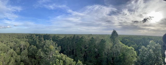 Thủ tướng khảo sát khu bảo tồn thiên nhiên độc đáo hàng đầu tại ĐBSCL - Ảnh 3. Thủ tướng khảo sát khu bảo tồn thiên nhiên độc đáo hàng đầu tại ĐBSCL - Ảnh 3.