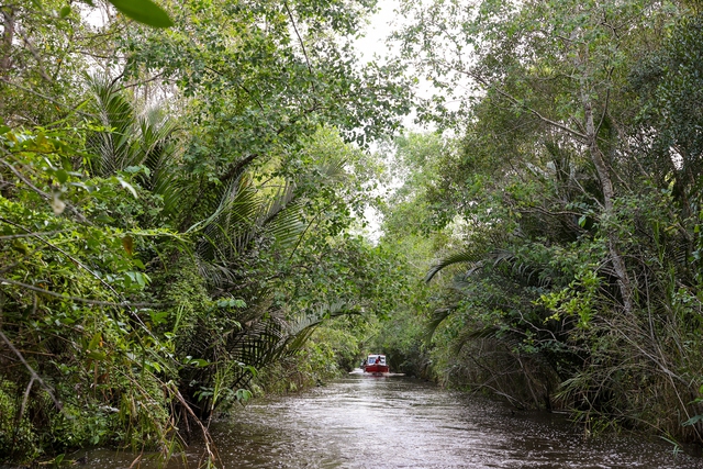 Thủ tướng khảo sát khu bảo tồn thiên nhiên độc đáo hàng đầu tại ĐBSCL - Ảnh 5. Thủ tướng khảo sát khu bảo tồn thiên nhiên độc đáo hàng đầu tại ĐBSCL - Ảnh 5.