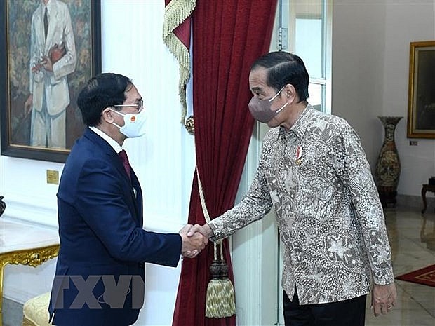 Bộ trưởng Ngoại giao Bùi Thanh Sơn tiếp kiến Tổng thống Indonesia Joko Widodo Bộ trưởng Ngoại giao Bùi Thanh Sơn tiếp kiến Tổng thống Indonesia Joko Widodo