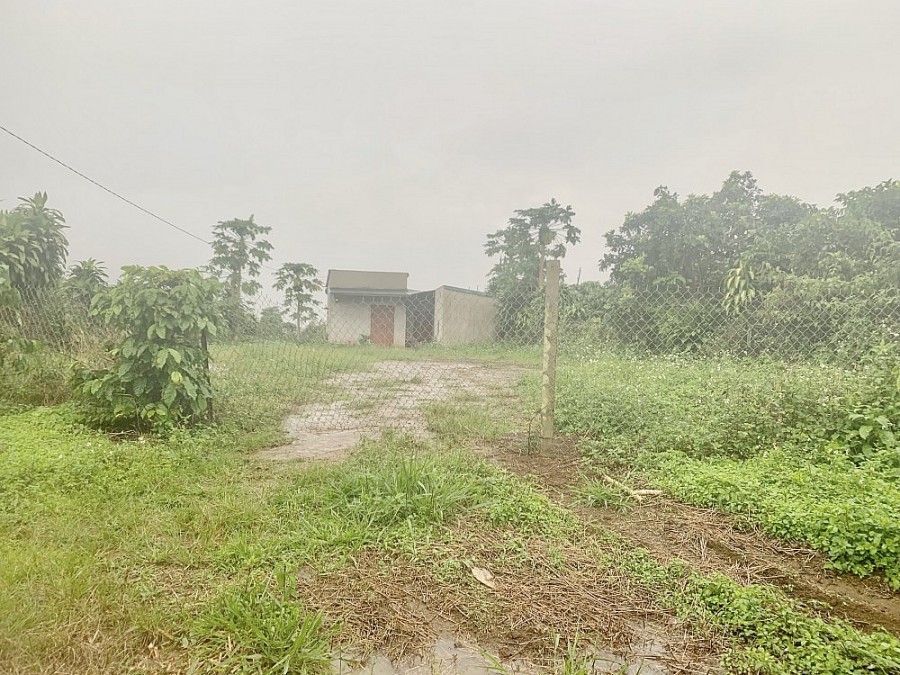 Nhiều nhà ở kiên cố đã được người dân xây dựng trên đất xâm chiếm Nhiều nhà ở kiên cố đã được người dân xây dựng trên đất xâm chiếm