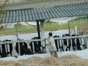 Kỳ III: Nâng cao sức mạnh nội lực