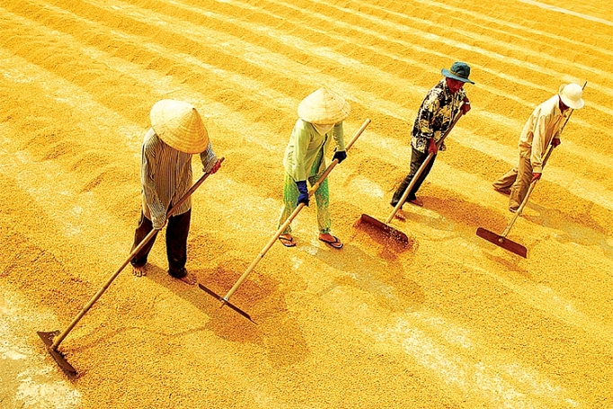 chat luong va su khac biet dinh vi thanh cong hang hoa xuat khau