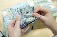 Hạn chế rủi ro trong giao dịch thương mại quốc tế: Lưu ý khâu thanh toán