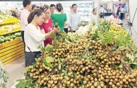 Tiêu thụ nông sản: Hiệu quả cao từ xúc tiến thương mại