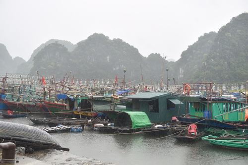 chuan bi ky phuong an ung pho bao so 3 dac biet hoan luu bao