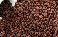 Cung vượt cầu, giá cà phê nội địa tiếp tục giảm sâu