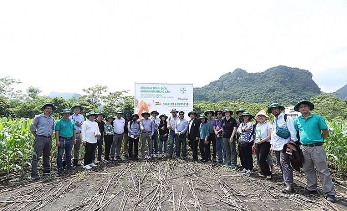 Nhiều chuyên gia quốc tế tới Việt Nam tìm hiểu giải pháp phòng trừ sâu keo mùa thu hiệu quả nhieu chuyen gia quoc te toi viet nam tim hieu giai phap phong tru sau keo mua thu hieu qua